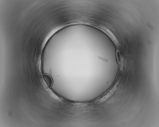 X0000112170812200908281338