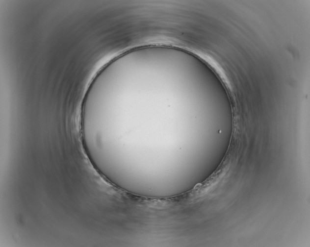 X0000112170815200908281338