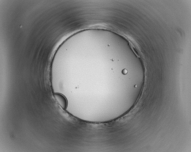 X0000112170816200908281338