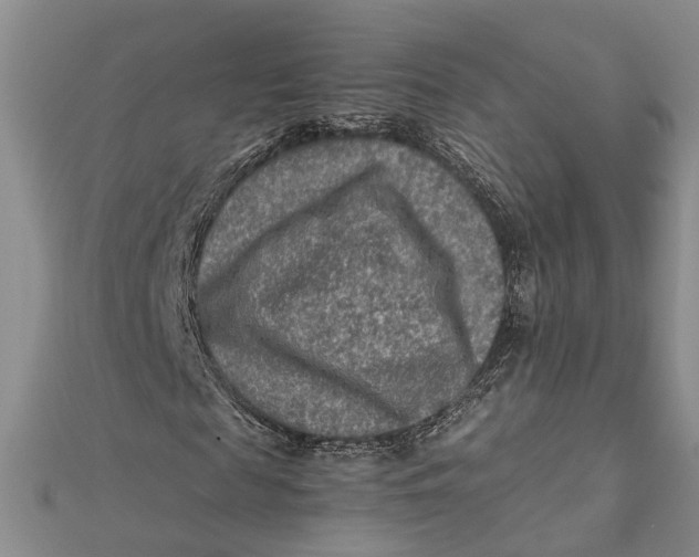 X0000112170817200908281337