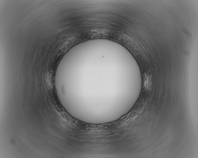 X0000112170819200908281337