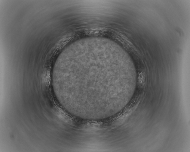 X0000112170820200908281337