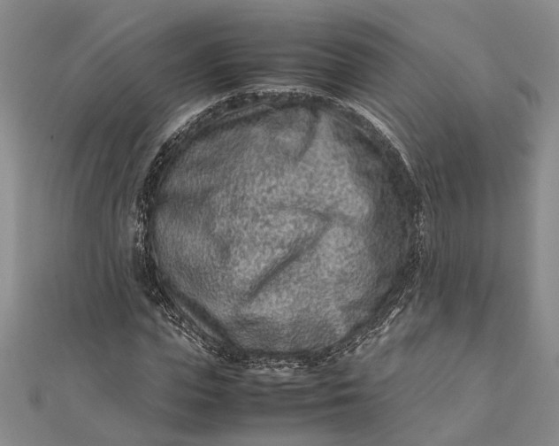 X0000112170823200908281337