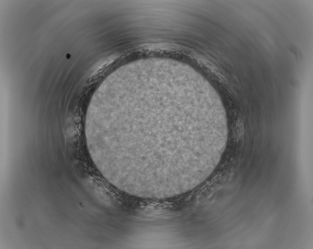 X0000112170824200908281337