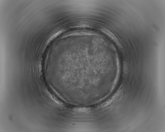 X0000112170826200908281337