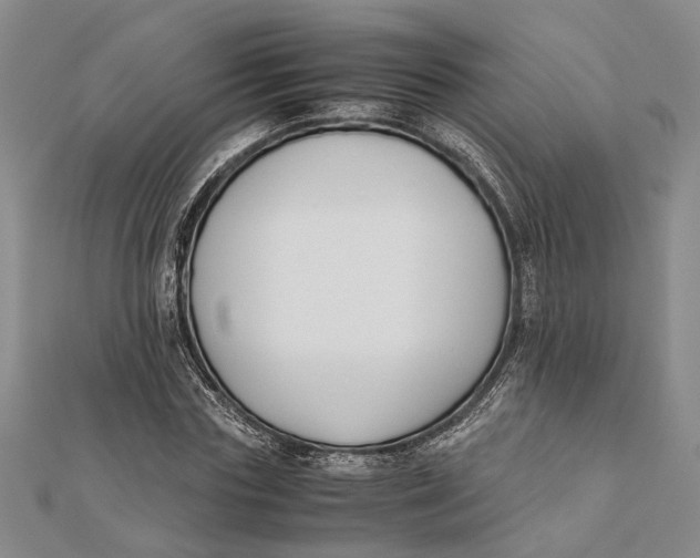 X0000112170827200908281338