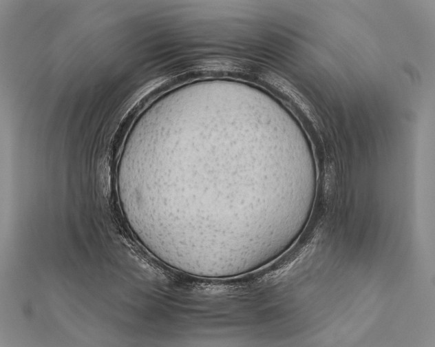 X0000112170829200908281338