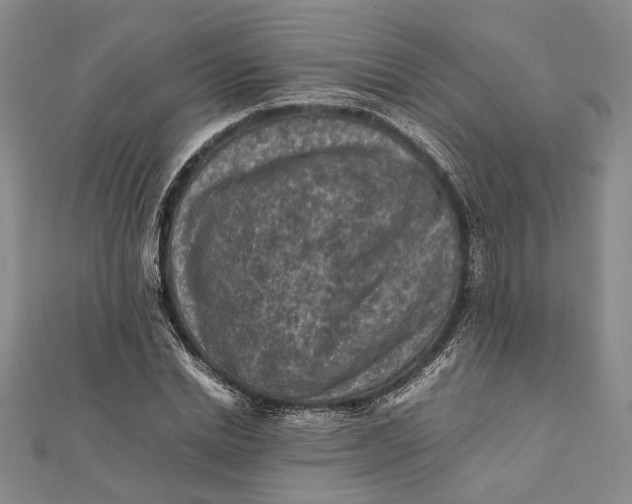 X0000112170830200908281338