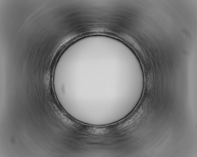 X0000112170831200908281338