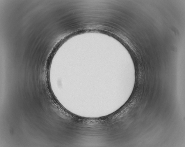 X0000112170832200908281338