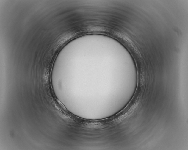 X0000112170833200908281338