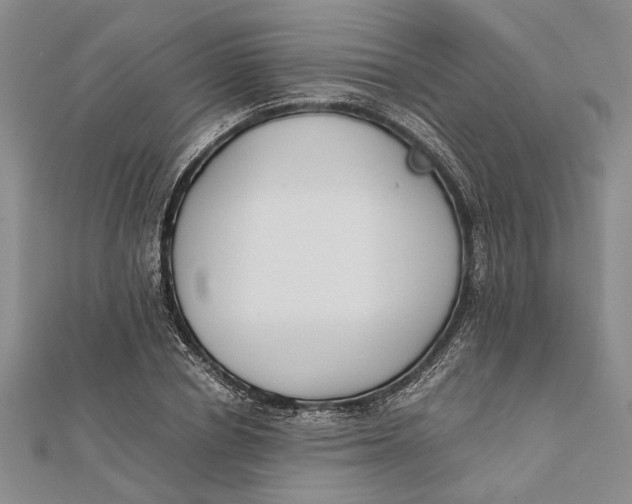 X0000112170834200908281338