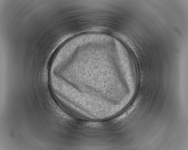 X0000112170835200908281338