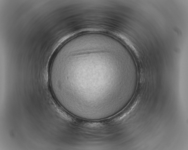 X0000112170837200908281338