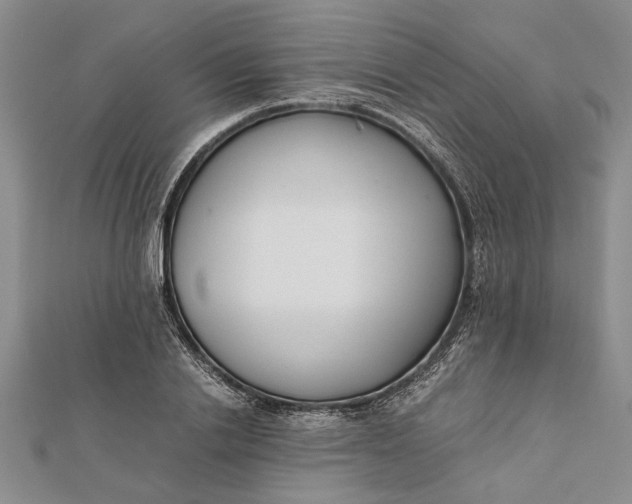 X0000112170838200908281338