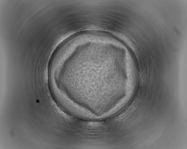 X0000112170839200908281338