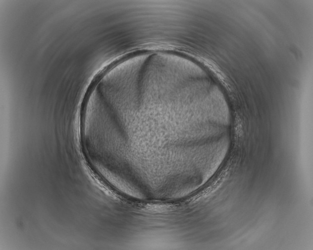 X0000112170840200908281338