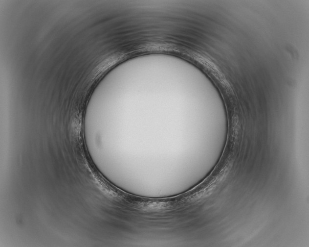 X0000112170841200908281338