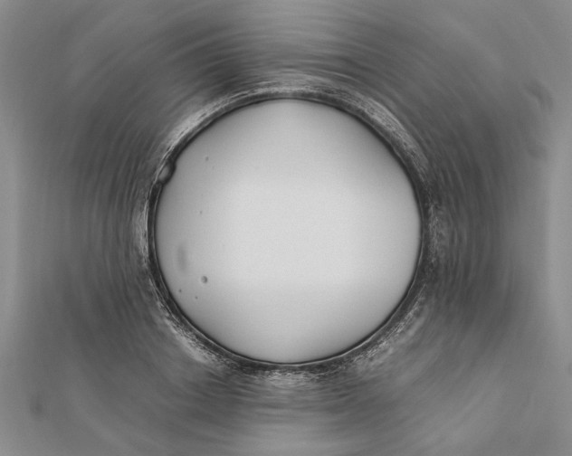 X0000112170842200908281338