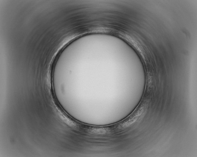 X0000112170843200908281338