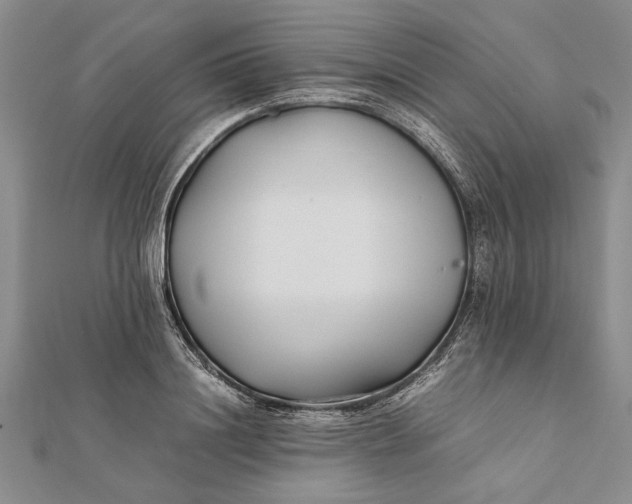 X0000112170844200908281338