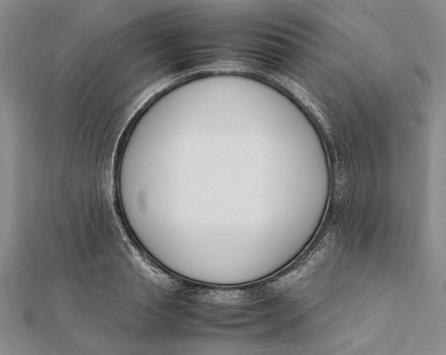 X0000112170845200908281338