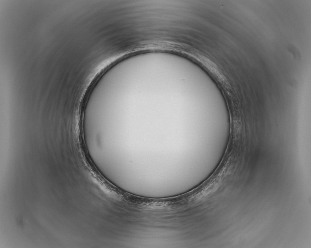 X0000112170846200908281338