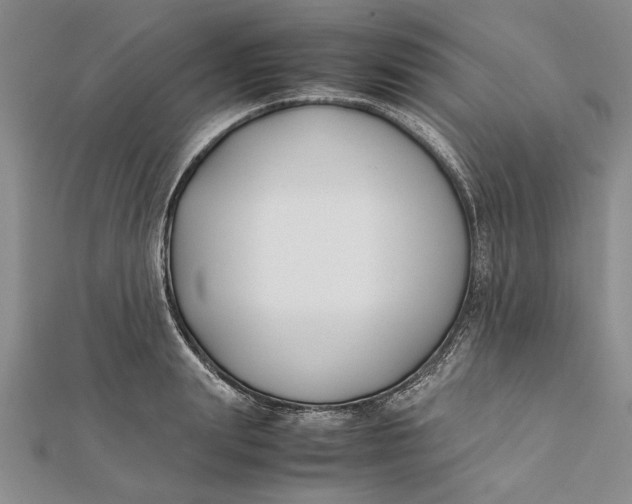 X0000112170847200908281338