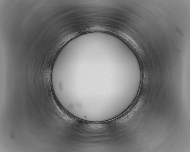 X0000112170849200908281338