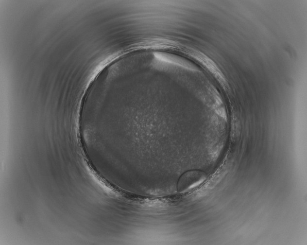 X0000112170850200908281338