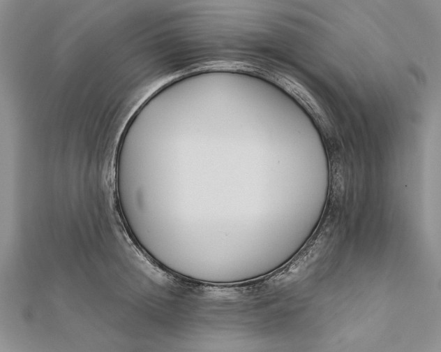 X0000112170852200908281338