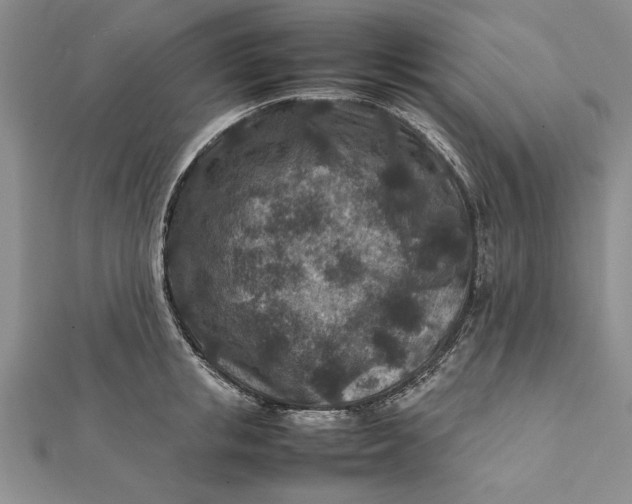 X0000112170853200908281338