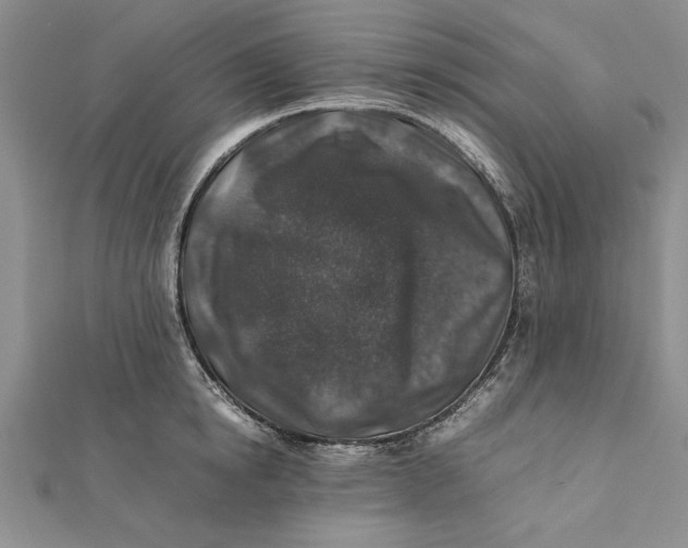 X0000112170854200908281338