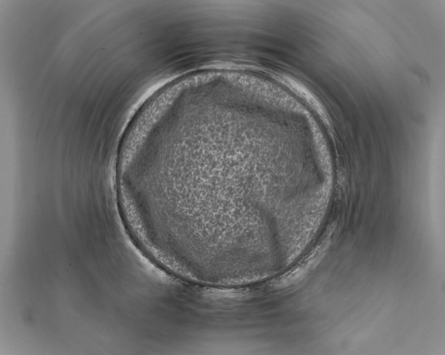 X0000112170855200908281338