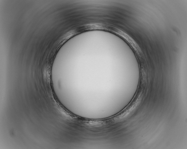 X0000112170857200908281338