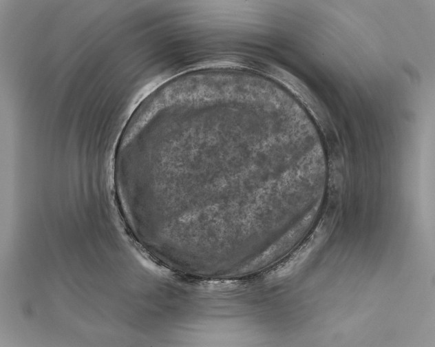 X0000112170858200908281338