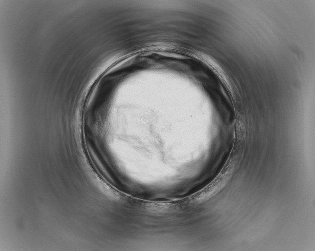 X0000112170859200908281338