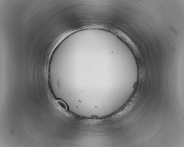 X0000112170860200908281338