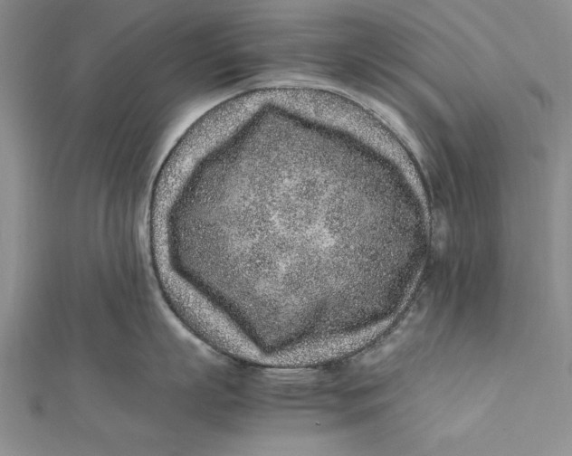 X0000112170863200908281338