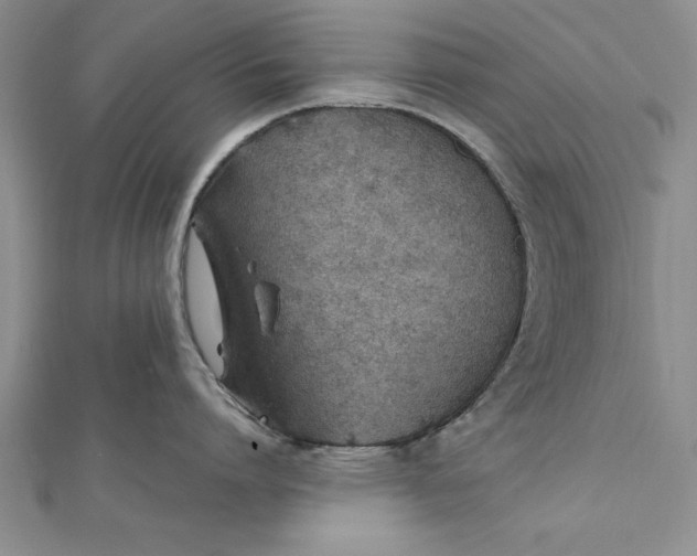 X0000112170864200908281338