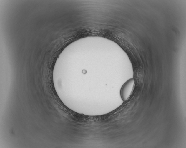 X0000112170865200908281337