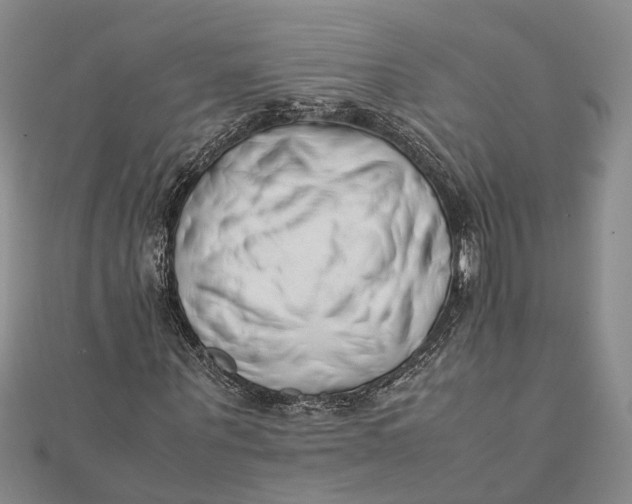 X0000112170867200908281337