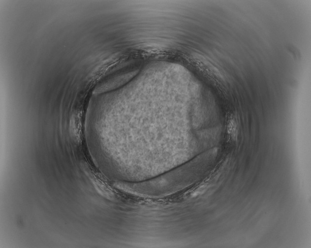 X0000112170868200908281337