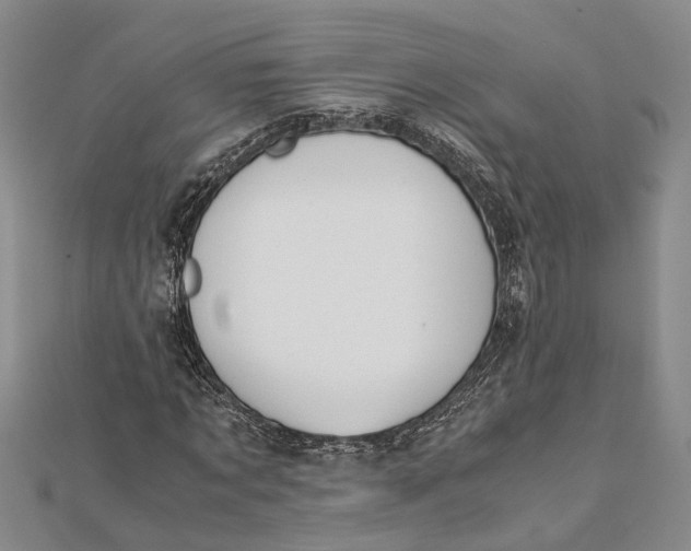 X0000112170869200908281337