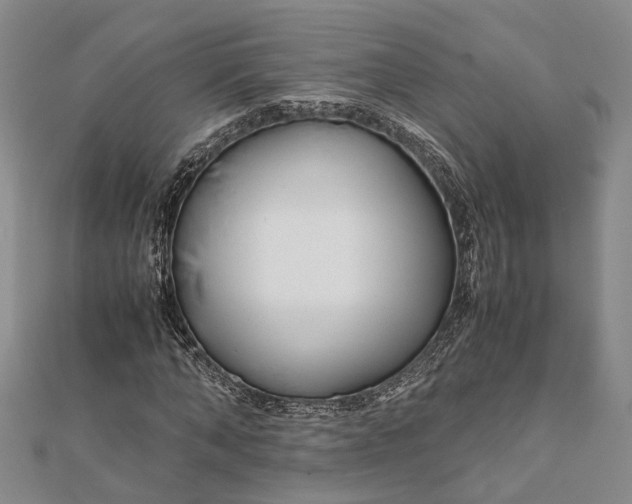 X0000112170870200908281337