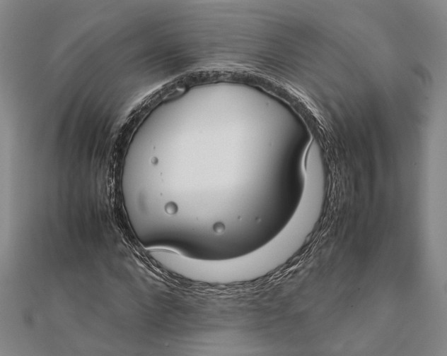 X0000112170872200908281337