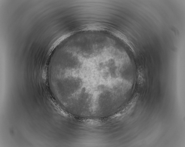 X0000112170874200908281337