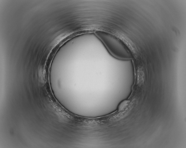 X0000112170876200908281337