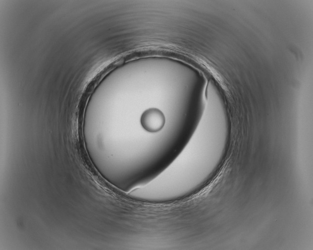 X0000112170877200908281337