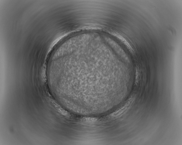 X0000112170878200908281337